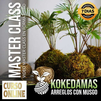 Aprende Online Kokedamas Arreglos con Musgo, cursos de oficios online con certificado,