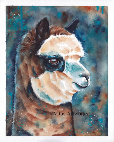 ausdruckstarkes Aquarellbild von einem Alpaka - Aquarell Kunstwerk 