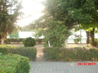Area Verde en la Entrada