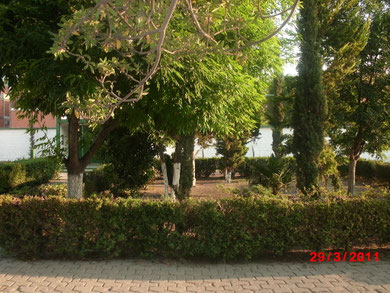 Área Verde En la Entrada