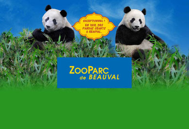 ZOO parc de Beauval à Saint Aignan