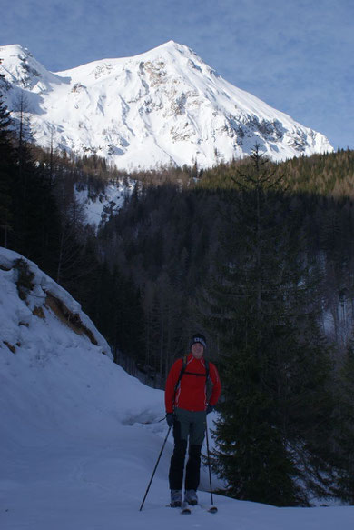 Am Forstweg nach der letzten Bachquerung, im Hintergrund der Mittagskogel