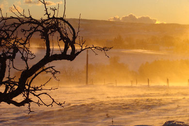 neige et mistral au Revest du Bion