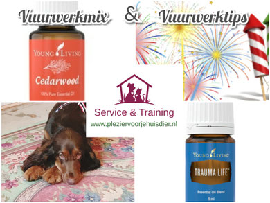 plezier voor je huisdier, vuurwerk honden, young living, vuurwerkangst, vuurwerktips, honden