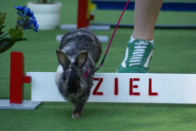 Beatrix beim Überqueren der Ziel-Hürde