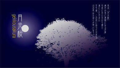 gekkousakura 月光桜 - SPAZIO WORKS ART&DESIGN gekkousakura 月光桜 - SPAZIO WORKS ART&DESIGN