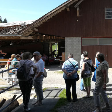 Besuch bei den Wasserbüffel in Marbach