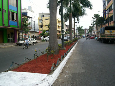QUEVEDO