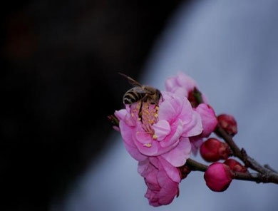 神秘　　photo by 白鳥保美