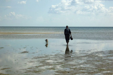 Usedom, August 2012