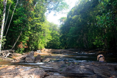 randonnée découverte de la nature en guyane