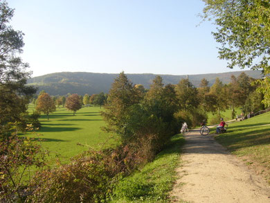 Herrliche Spazierwege, laden zum Verweilen ein.