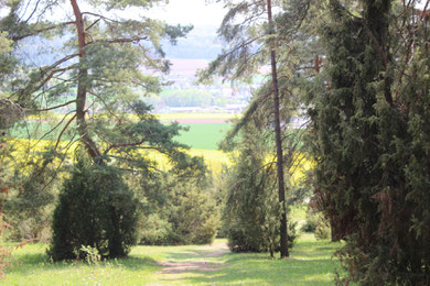 Herrlicher Wanderweg oberhalb von Nüdlingen -Haard