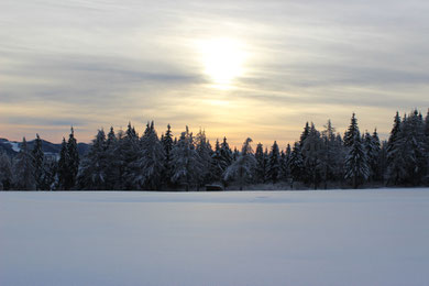 Winterliche Sonnenuntergänge