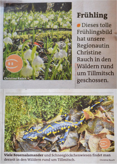 gesehen in der Leibnitzer "WOCHE" am 27.3.2013