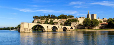 Avignon Stickers Pour Plaques Immatriculation Adh 233 Sifs