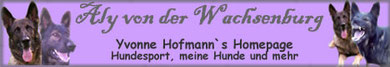 Hier gehts zu Yvo und ihrem tollen Aly!