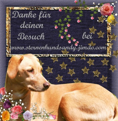 Sandys BesucherAward für dich