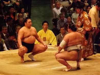 写真はネットからお借りしております