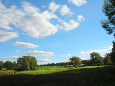 Typical landscape in Lübars