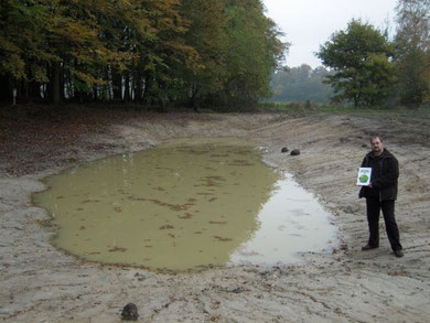 Eines von zweien im September 2009 speziell für den Kammmolch am Rand des "Fledermauswaldes" angelegten Kleingewässern (Projekt "Gewässer für den Kleinen Wasserdrachen").