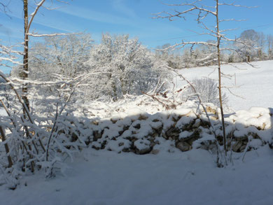 Winter Ferien, Wintersport, Winterfreuden