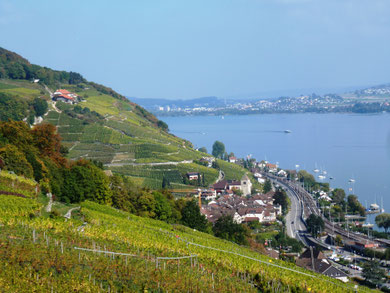 Weindegustation, hübsche Dörflein, Drei Seen Land