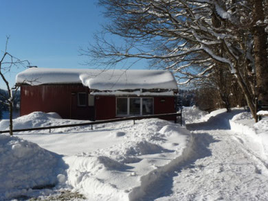 Langlauf, ski alpin, sneeuwwandelingen, hondenslee 