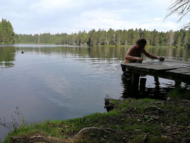 zwemmen in natuurvijvers, midden in de natuur 