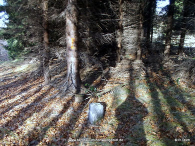 Forstgrenzstein am Leinewebersteig