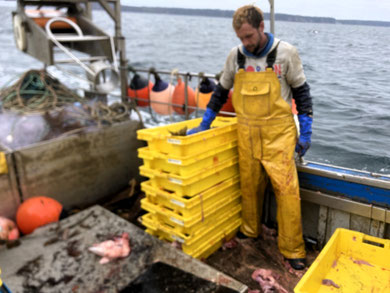 Les caisses commencent à se remplir