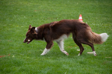 KV Wengi 2012