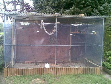 Gartenvoliere 3x5m