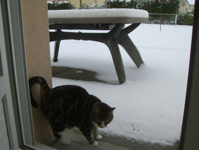 Il neige à Mayenne