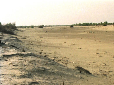 Old Yarkand river runs dry close to Bachu in northwestern edge of Taklimakan Desert. Photo by T. Ishiyama.