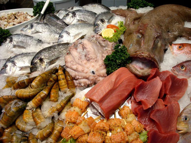 Fische & Meeresfrüchte