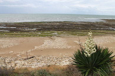 Saint-Vincent-sur-Jard