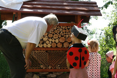 Ein neues Zuhause für Käfer, Bienen und andere Krabbeltiere. Foto: S. Weirauch