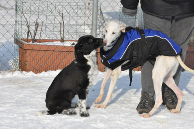 Die zwei neuen Schweizerinnen beim Kennenlernen