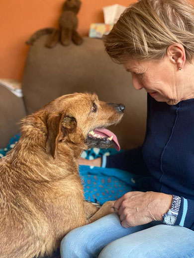 Billy und sein Frauchen haben sich in Langenfeld gefunden. 