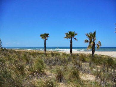 Strand von Oliva Spanien