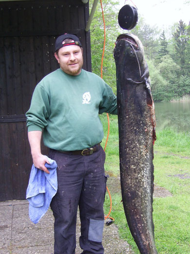 Dieser Wels wurde von Oliver Grebenstein am 5. Mai 2005 mittels Blinker, an der “Lehmkaul” gefangen. Der Wels hatte eine Länge von 187 Zentimetern und ein Gewicht von 39 Kilogramm. Es war der bisher Größte, an unserer Weiheranlage gefangene Wels.