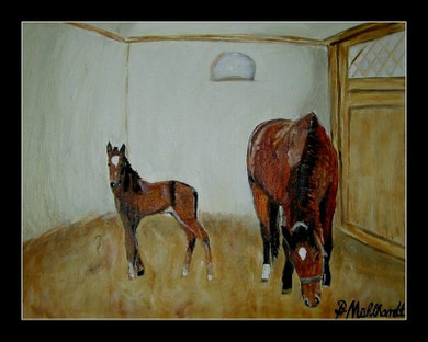Pferde in Öl 30 x 40