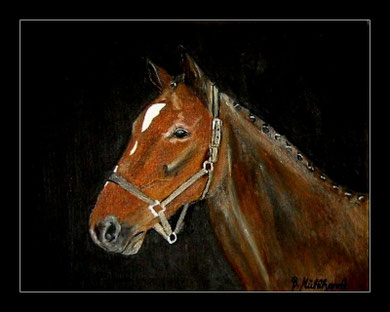 Pferdeportrait in Öl 30 x 40