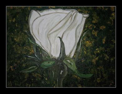 Rose in Öl 30 x 40
