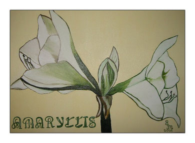 Amaryllis in Öl 30 x 40