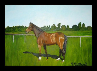 Pferdeportrait in Öl 30 x 40