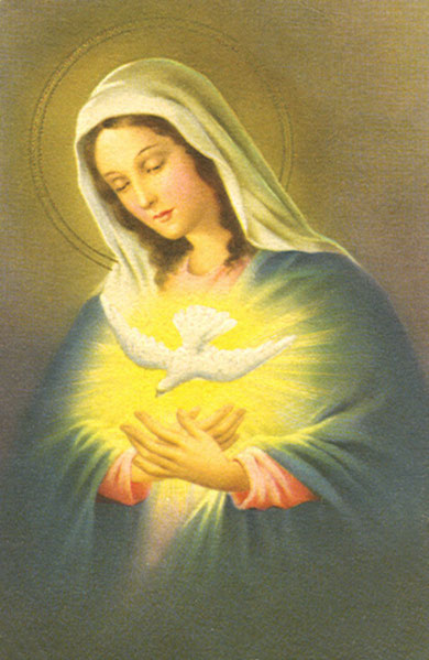 La Sainte Vierge Marie Suite Pere Pascal Prevost Exorciste Orthodoxe Sainte marie, mère de dieu, priez pour nous sainte marie, vierge mère du christ, priez pour nous. la sainte vierge marie suite pere