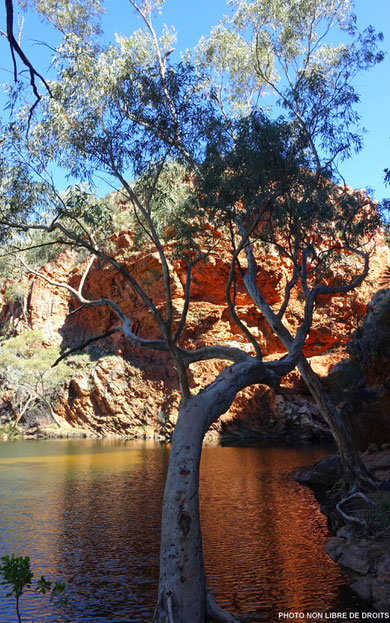 Ellery Creek Big Hole, West MacDonnell Ranges, Australie, photo non libre de droits