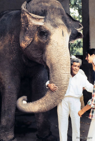 Baba's brother Jal with Baba's favourite elephant at Poona Zoo